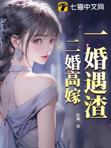 一婚二嫁全文免费阅读