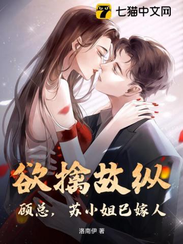 顾小姐和苏小姐