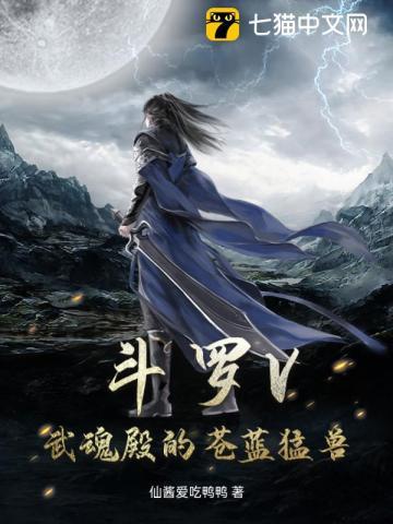 斗罗武魂殿一方的