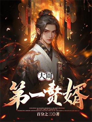 大周第一赘婿 咸鱼野鸭