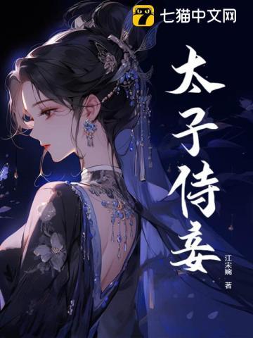 太子侍妾等级排行