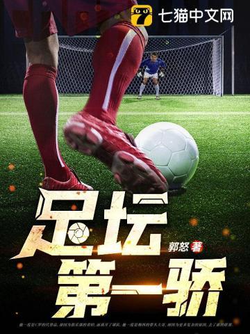 足坛第一骄 第432章