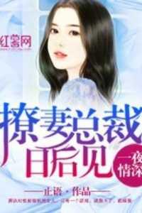 总裁撩妻日常