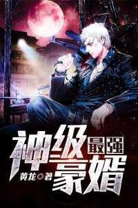 最强豪婿txt