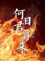 何日君再来邓丽君原唱