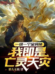 一级一个金词条,我即是亡灵天灾
