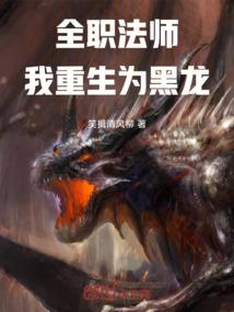 全职法师:我重生为黑龙
