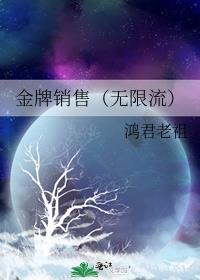 金牌销售(无限流)