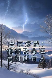 苏宇曹丕