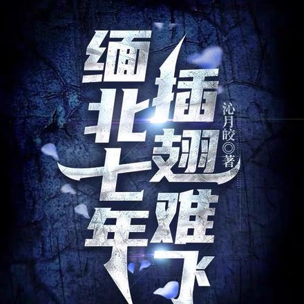缅北七年,插翅难飞