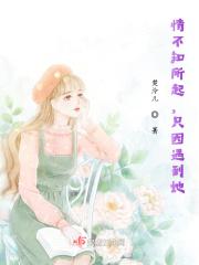 情不知所起,只因遇到她