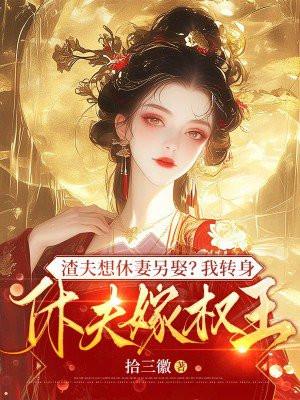 渣夫想休妻另娶?我转身休夫嫁权王